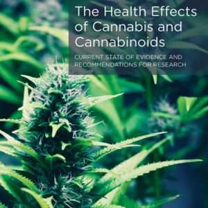 Cannabis report Cover Final