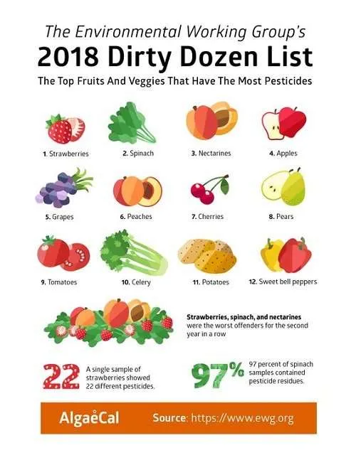 dirty dozen 2018 dirty dozen 2018