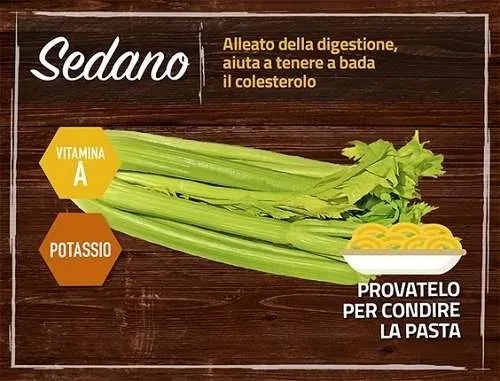 sedano territori coop